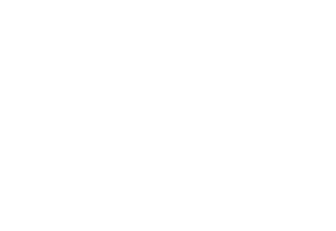 Skoda_nieuw.png